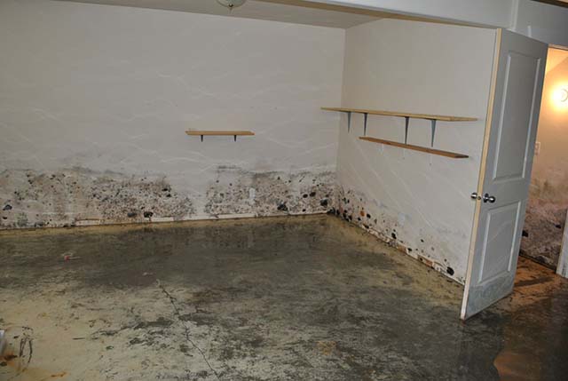 Water and Mold In Basement