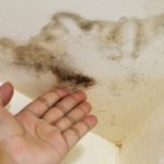 remove mold in basement after water damage
